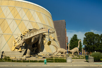 Dino-mite Olympic pride at The Children's Museum of Indianapolis.