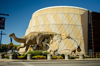 Giant life-sized dinosaurs at The Children's Museum of Indianapolis roar loud and proud for Team USA in the Olympics in Paris 2024.