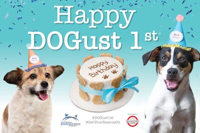 Happy DOGust 1st - the official birthday of rescue dogs everywhere. Photo Credit: North Shore Animal League America