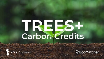 TREES+ offers carbon-certified transparent tree planting projects