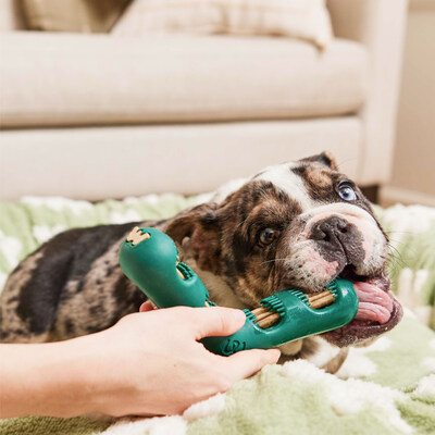 Woof Revolutionizes Dog Dental Care with the Bite n Brush