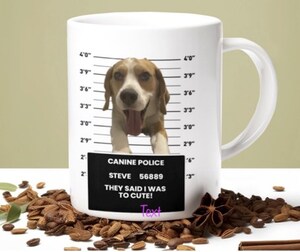 MyMugShot.com Announces Launch of Mugs, Mutts and Meows Contest, Celebrating America's Cutest and Funniest Pets