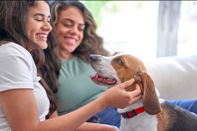Purina-Sponsored Research Unveils Dual Benefits of Animal Foster Care Programs