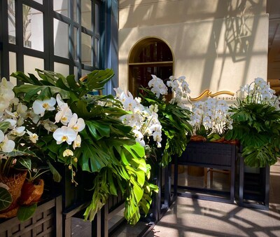 Arranjos de flores brancas e folhagens verdes  por Vic Meirelles, em homenagem aos pais (Foto Divulgação Pátio Higienópolis)