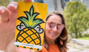 STAYPINEAPPLE OFFERS STEEP DISCOUNTS FOR 2025 ADVANCE BOOKINGS