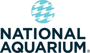 National Aquarium Unveils Harbor Wetland Exhibit, Recalling Chesapeake Bay Habitat to Inner Harbor