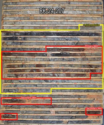 Figure 3: Core photo from RK-24-207; high grade mineralization is hosted across 7.1 m from 523.9 to 531 m with outer low grade disseminated uranium extending above to 519.4 and below to 534.4 m; Narrow secondary veins are hosted nearby in the footwall below (CNW Group/NexGen Energy Ltd.)