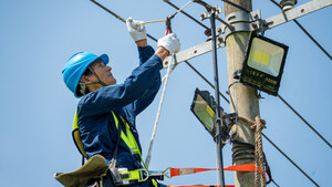 State Grid Hangzhou Power Supply Company: Thick Greenery in Summer Fields, Thoughtful Services Boost Income