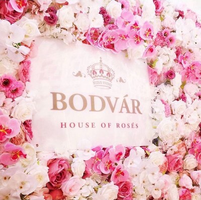 Bodvár Rosé celebrates three million streams on Spotify for the hit song “Bodvár”