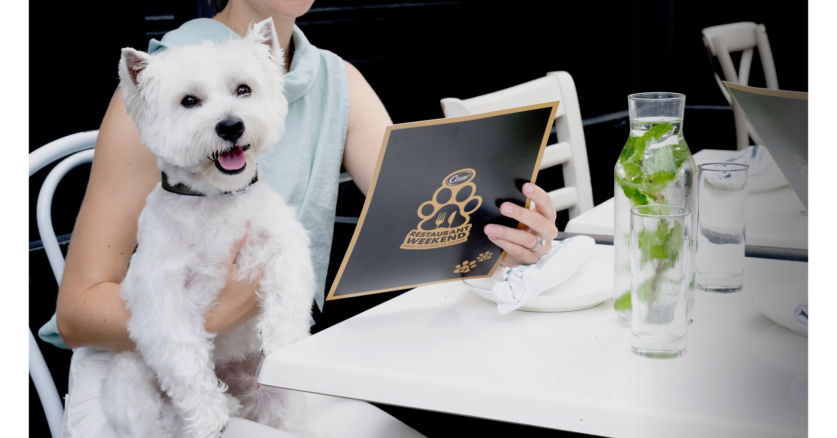 BRING YOUR DOG TO DINNER DURING THE FIRST-EVER CESAR® RESTAURANT WEEKEND