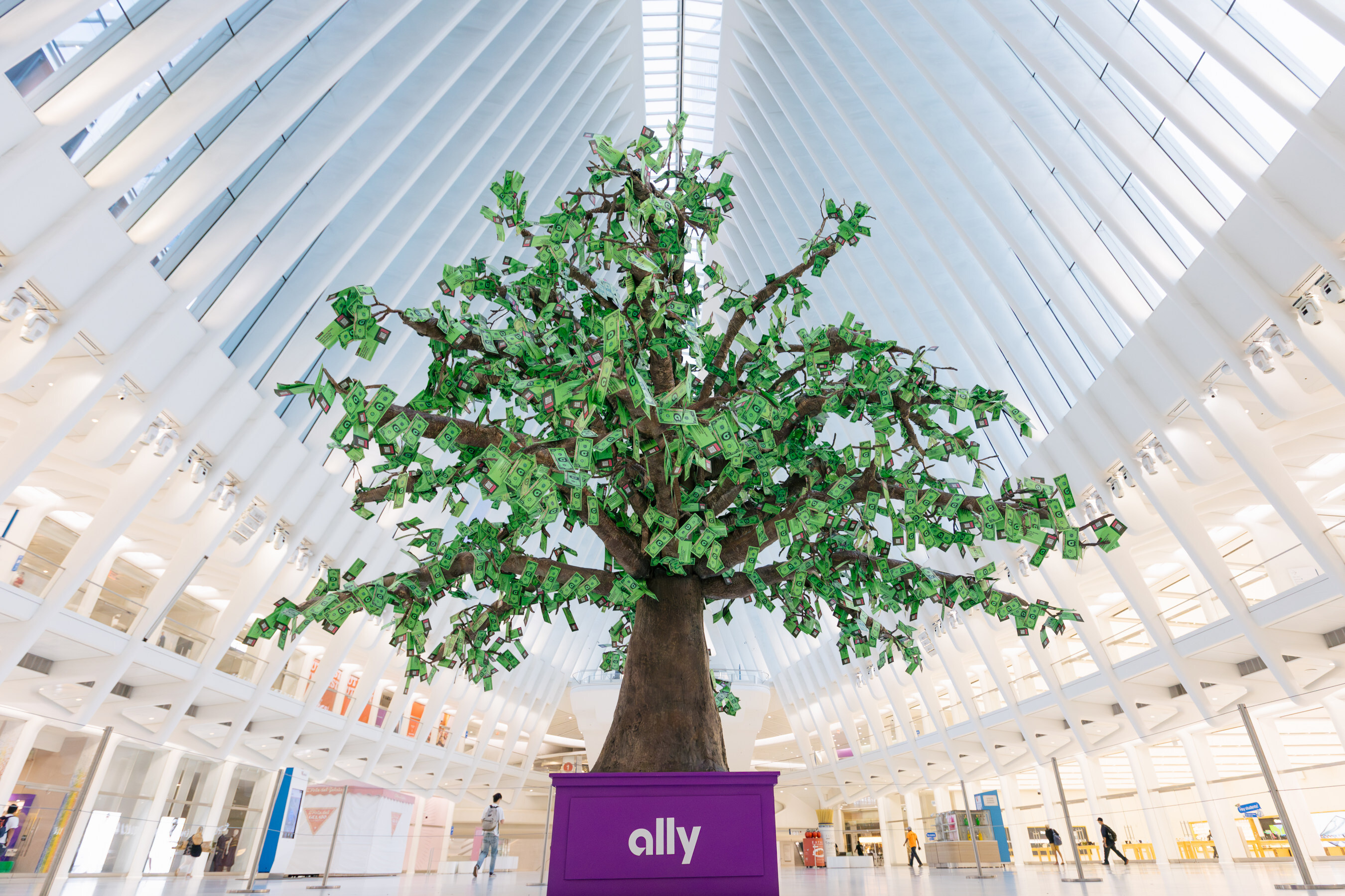 Ally Launches Free Nationwide Financial Wellness Program Grounded in Money Psychology