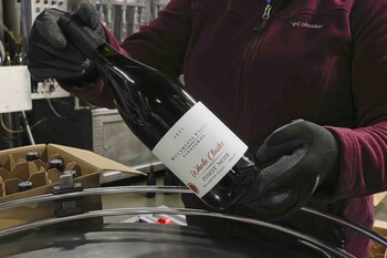 Willamette Pinot Noir coming off the bottling line in 2024 in refillable bottle