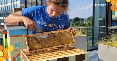 Bee Downtown beekeeper tending to Choice Hotel’s beehives at its corporate headquarters in North Bethesda, Maryland