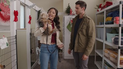 Ash Tsai and Eric Guilmette star in A Shelter and Season’s Greetings (wt), part of Great American Christmas 2024.