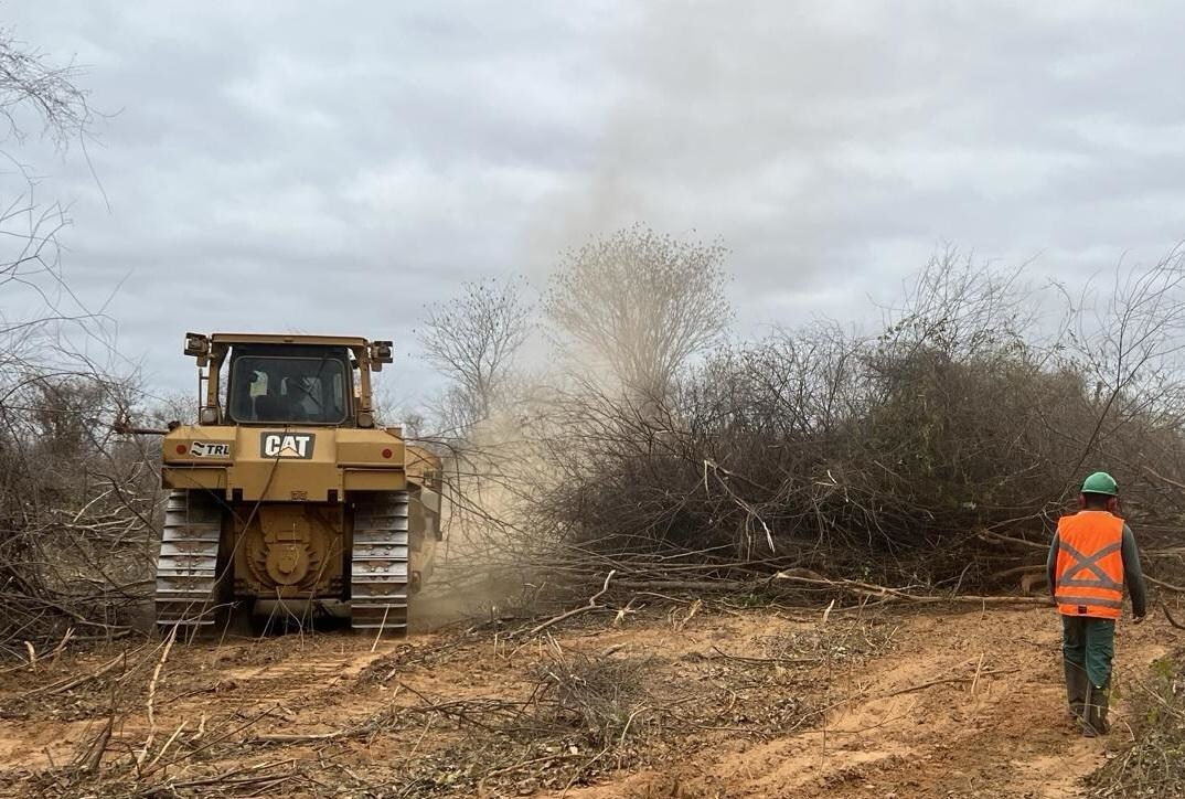 Land Suppression and Clearing for Phase 2 operations at Grota do Cirilo.