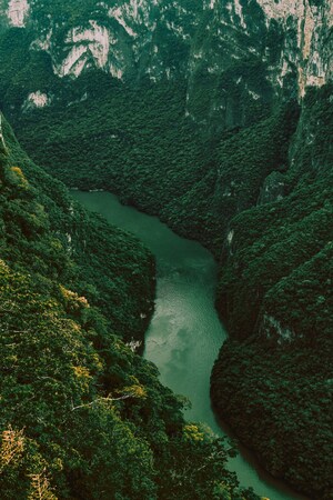 Despegar impulsa el turismo fotográfico con estos cuatro destinos imperdibles en el mundo