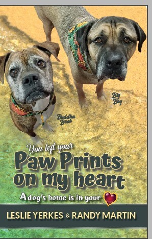 Launched in June 2024, "You Left Your Paw Prints on My Heart" Gains Momentum, Offering Comfort to Pet Owners Grieving the Loss of their Beloved Animals