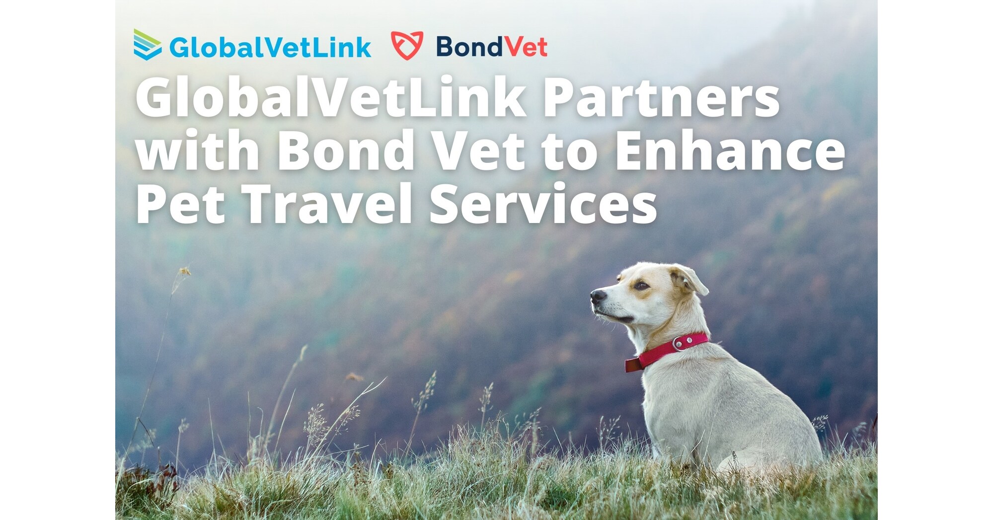 GlobalVetLink Partners with Bond Vet to Enhance Pet Travel Services