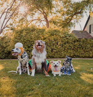 Pet Parents Can Celebrate the Spooky Season with New Thrills & Chills Collection Now Available Exclusively at PetSmart