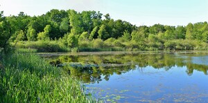 City of Brampton and TRCA contribute over 1900 hectares of natural heritage lands towards Canada's 30x30 conservation target