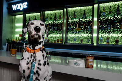 A working dog takes time to enjoy a tasty Busch Dog Brew at Aloft Chelsea in New York City. Aloft Hotels, the most accommodating hotel for dogs, is celebrating International Dog Day with a nationwide invitation for a social hour featuring dog brew at the brand’s W xyz® bar. (photo credit: Aloft Hotels)