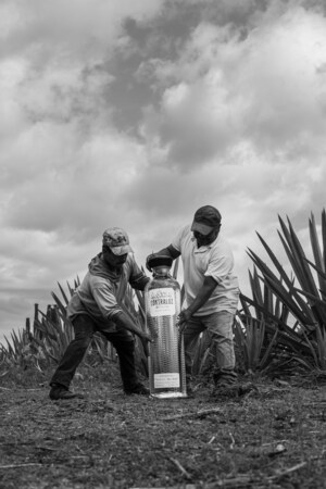 EL MEZCAL DE MALUMA SIGUE CONQUISTANDO: CONTRALUZ CELEBRA SU SEGUNDO ANIVERSARIO