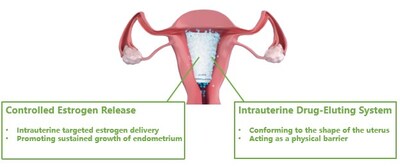 Corina acts as a physical barrier upon insertion, and enables targeted delivery of estradiol to the endometrium