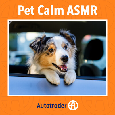 Autotrader, a Cox Automotive brand, is making it easier than ever for drivers to bring their pets on the road with an exclusive ASMR-inspired playlist aimed at relaxing dogs and helping everyone enjoy their time on the road.