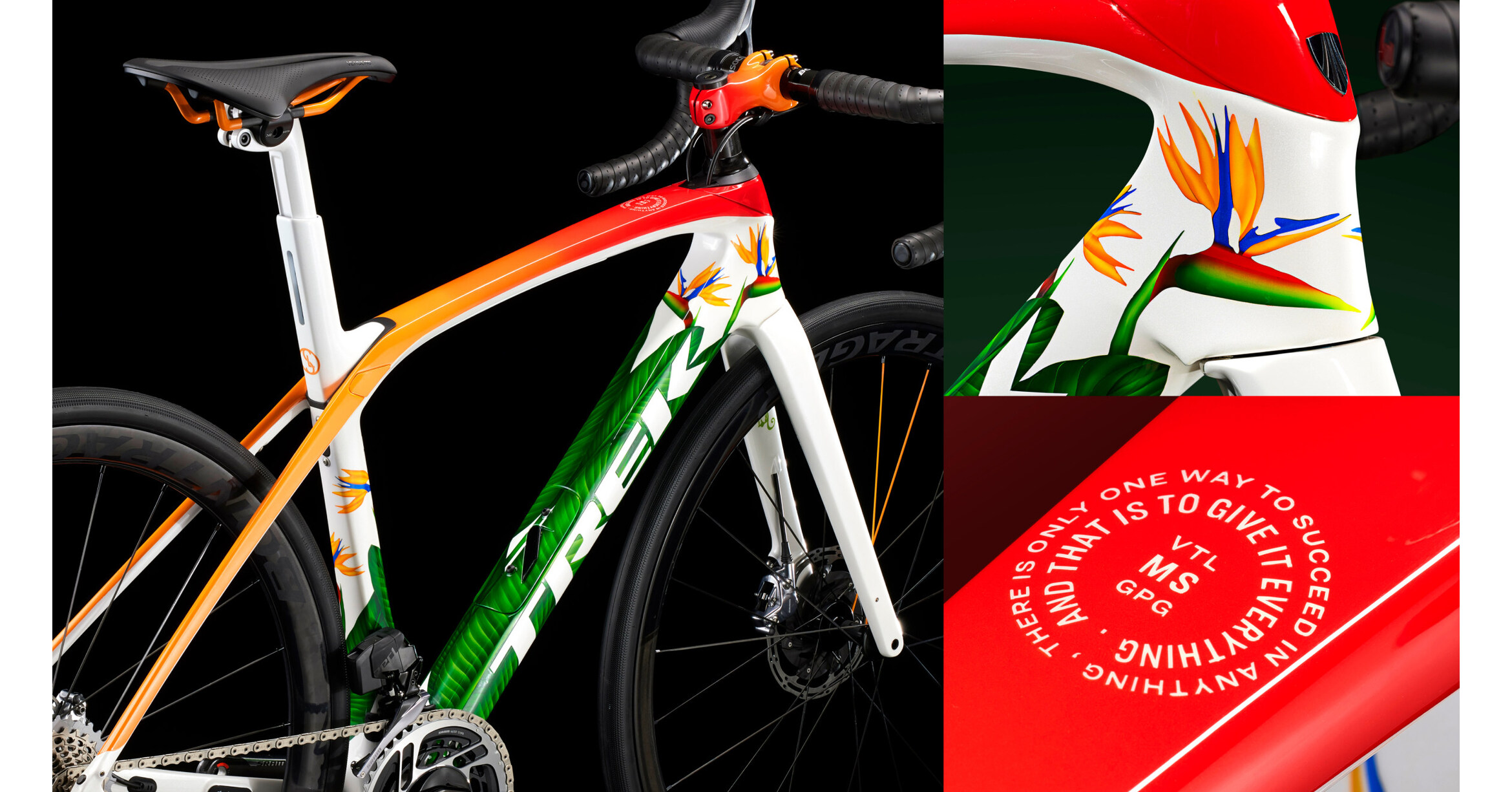 trek bicycle franchise Trek Reveals Its Most Tricked-Out Custom Bikes Ever with Project One  Superlatives