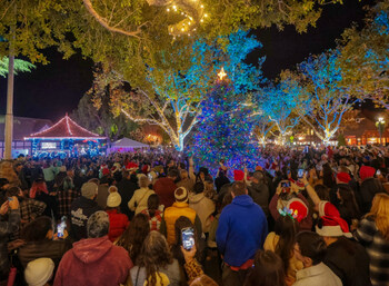 Solvang Julefest Christmas Tree Lighting - California Danish Village Holiday Event