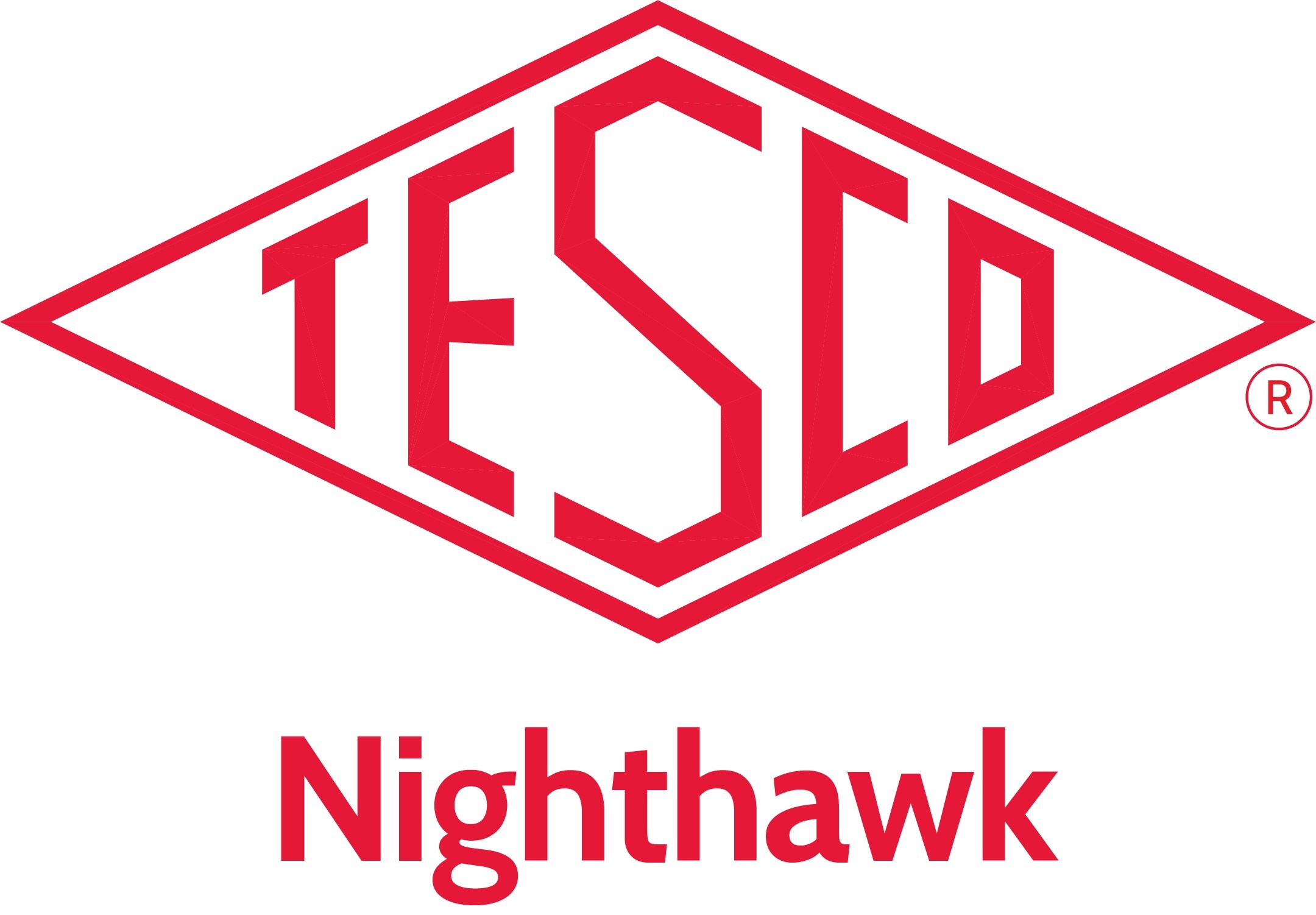 NIGHTHAWK Logo (PRNewsfoto/TESCO - The Eastern Specialty Company)