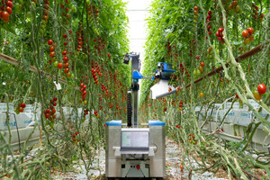 inaho's tomato harvesting robot is being tested and received fees from Dutch growers. Actively looking for partner growers toward commercialization