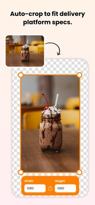 Unable to view the image, Please provide a valid URL.