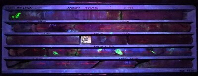 Figure 3 AMD009 mineralised zone fluorescent under UV light. Core from 39.0m to 43.3m shown. (CNW Group/Laramide Resources Ltd.)