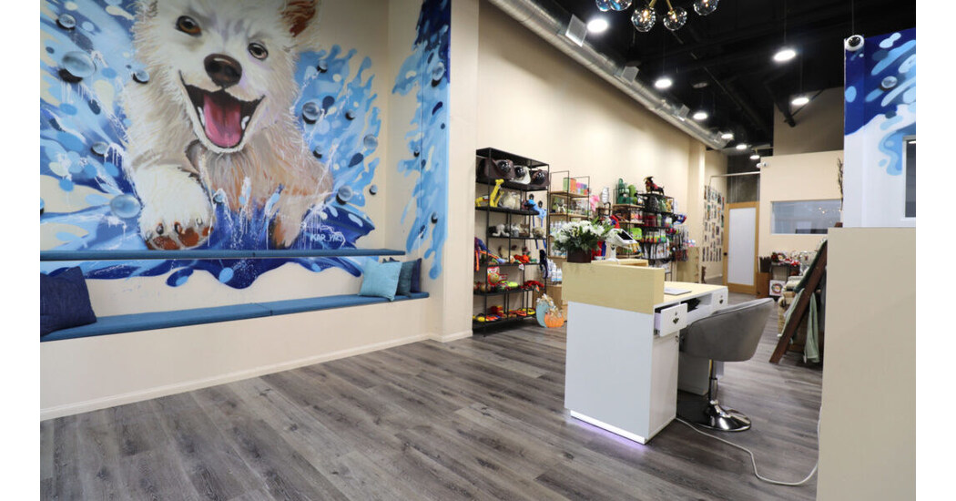 Hollywood Mobile Grooming expands with new brick-and-mortar store in Downtown Burbank