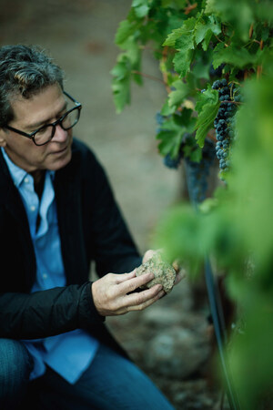 Paul Hobbs Winery Earns the First '100 Points' For Cabernet Sauvignon From Napa's Coombsville AVA