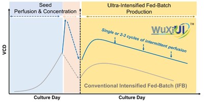 Schematics of WuXiUI™ production strategy