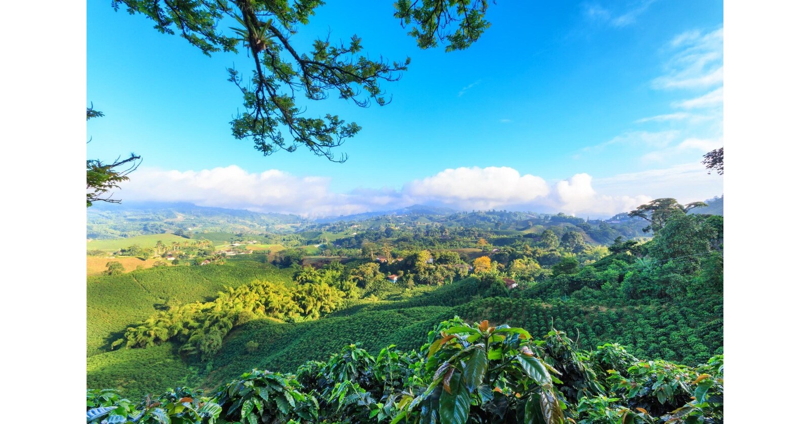 Global Fintech Fest 2024 Showcases Wide Spectrum of Innovations