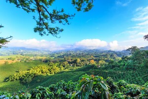 ProColombia organiza feria de los principales productos agrícolas de Colombia para Aruba y Curazao