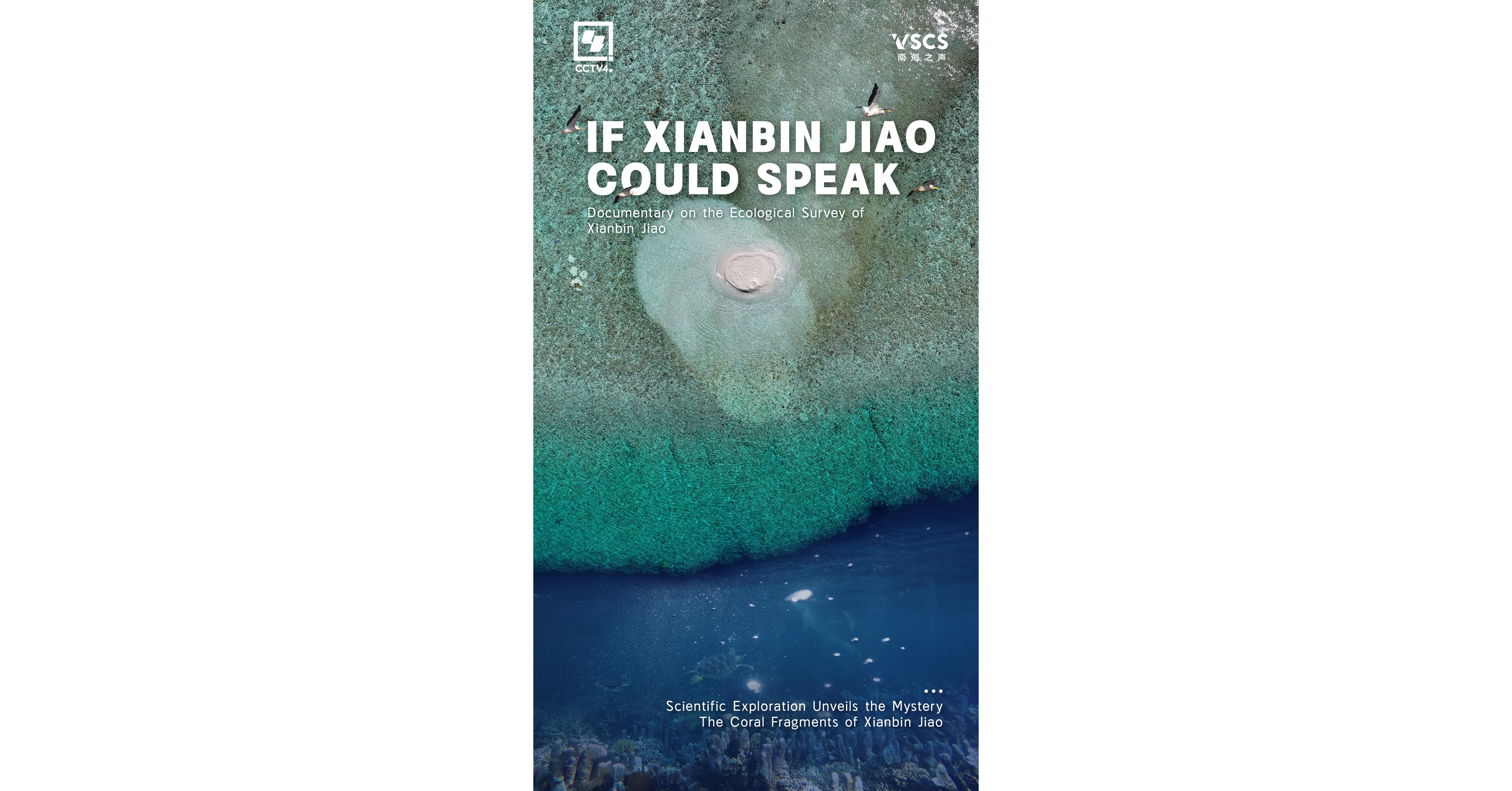 First Documentary on Ecological Survey of Xianbin Jiao Released: If Xianbin Jiao Could Speak