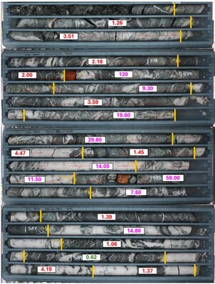 Figure 4 – South Junction Drill Hole 24SJDD029 showing the individual gold assay results (g/m) for the “South Junction Lode” (highly altered and quartz veined ultramafics) which returned 14.93m @ 15.95g/t Au from 575.57m (Refer to Appendix A for details). (CNW Group/Westgold Resources Limited)