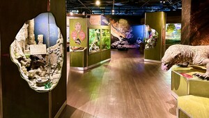 Myths Made Real with Dragons - Ripley's Aquarium of Canada's Newest Exhibit