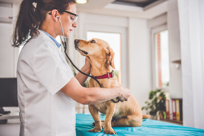 Embrace Pet Insurance has partnered with the AVMF to offer scholarship opportunities to veterinary students.