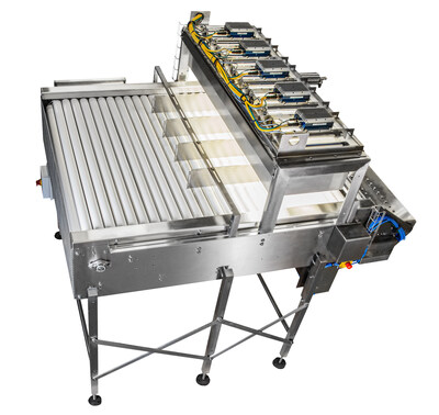 SiftAI® Smart Table: Multifunctional Quality Control System for Potato Processors