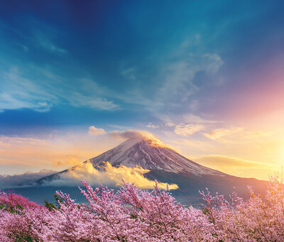 Fuji mountain and cherry blossoms in spring, Japan.