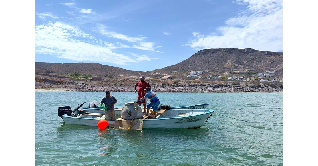 Memorial Reefs International Unveils Undersea Memorial Garden in La Paz: A Lasting Tribute Supporting Marine Life in the Sea of Cortez