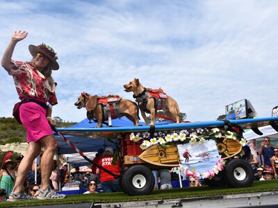 Spectators will not want to miss other family-friendly activities like live beach tunes and the crowd-pleasing Canine Costume Contest.