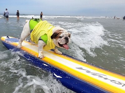 2023 Surf Dog Surf-A-Thon 3rd Place Winner Guinness