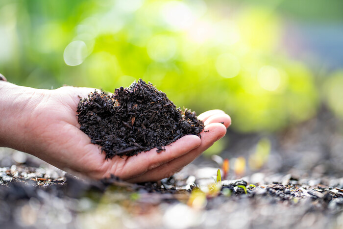 This research project is using genomics to test for the presence of select invertebrates and soil microbes that may act as early indicators of ecological recovery. (CNW Group/Genome British Columbia)