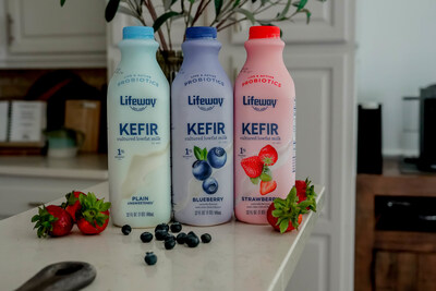 Plain, Blueberry, and Strawberry Lifeway Kefir